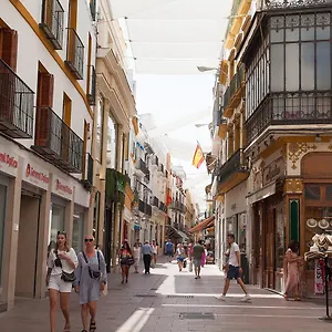 Gotoseville Sierpes , Séville Espagne